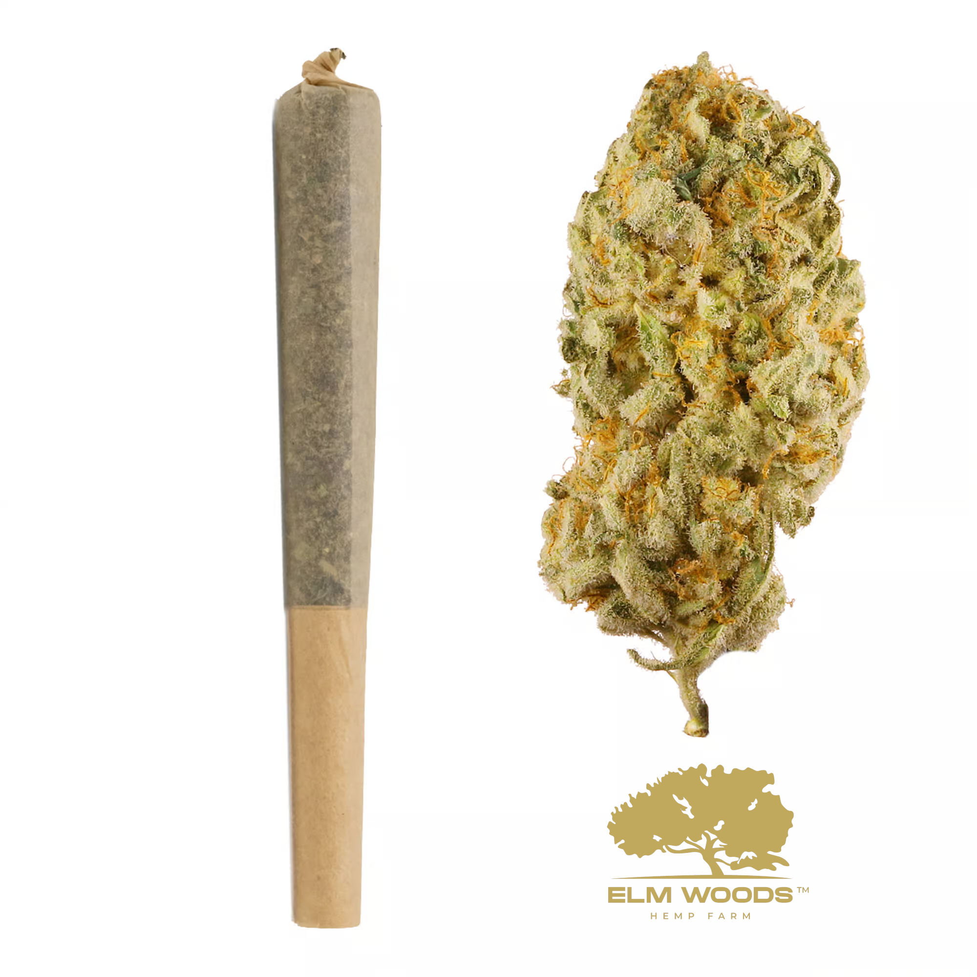 Jack Herer 1G Pre-Rolls Case 100